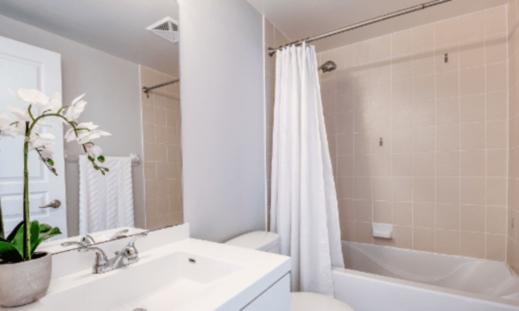 Glass Door vs. Shower Curtain in Conroe: Pros and Cons